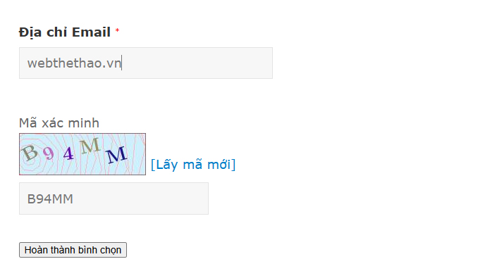 Nhập địa chỉ email, mã xác minh và nhấn vào "Hoàn thành bình chọn" để hoàn tất các bước